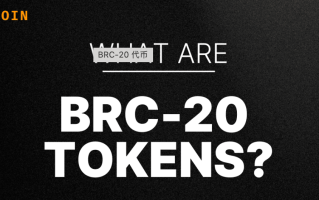什么是BRC-20代币？