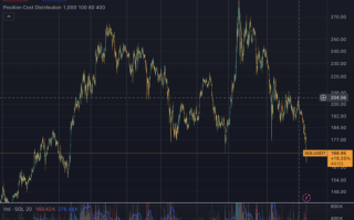 SOL币行情跌至2024年11月以来的最低价格，自1月份以来下跌了43%
