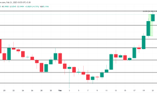 2月21日，3种创下历史新高的数字货币