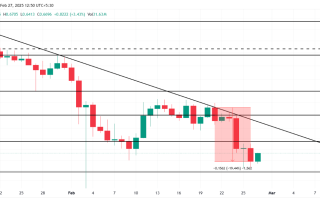 鲸鱼囤积3亿ADA，本周ADA币价格暴跌20%