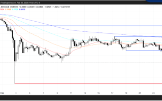 ADA币交易量达14亿美元，但价格下跌近10％