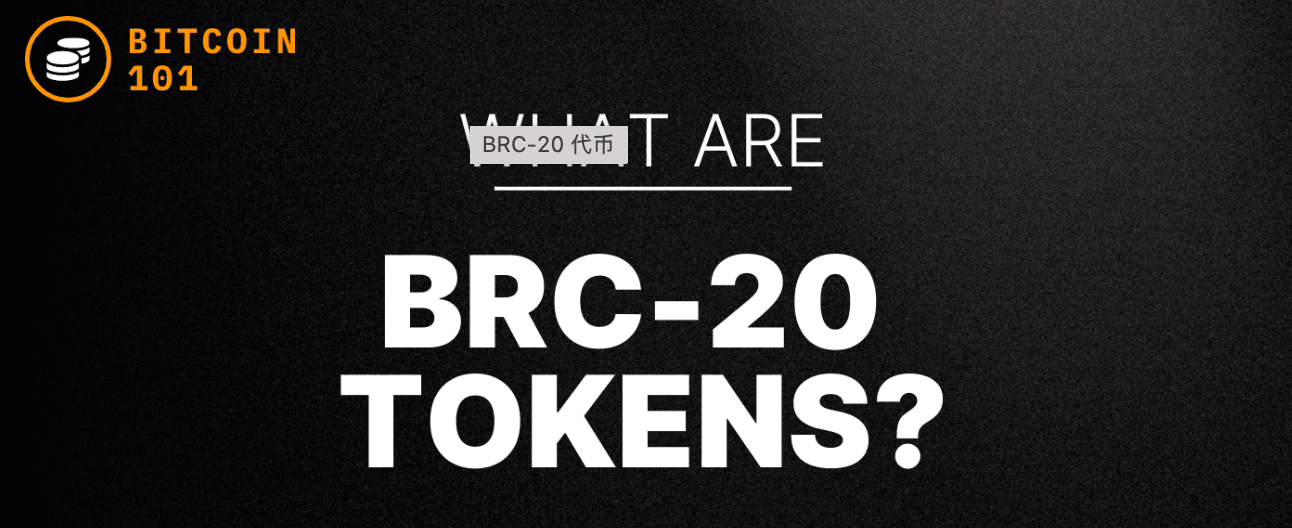 什么是BRC-20代币？-第1张图片-知霖快报